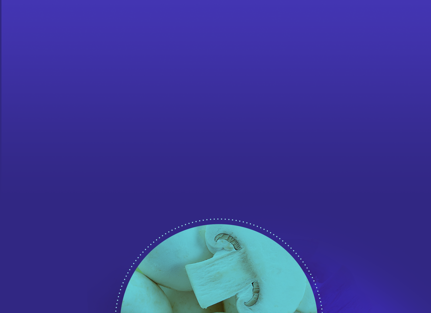 modal background