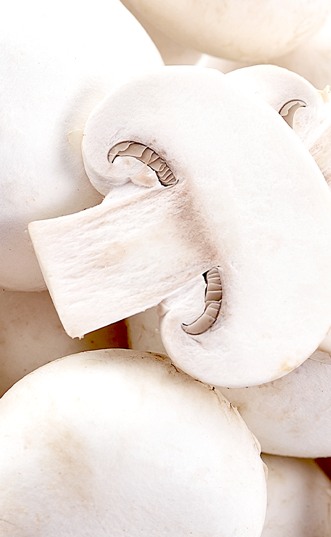 Champignon