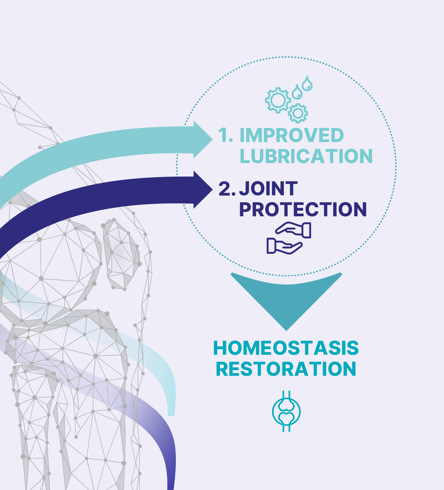 Homeostasis restoration